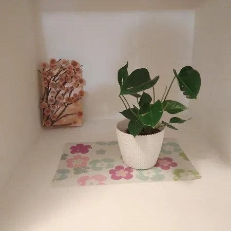 アパート Dasa リエカ